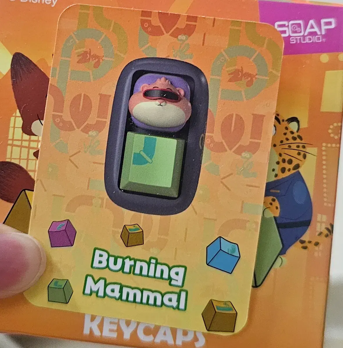 thumbnail-0